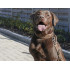 GREENBURRY Dog Neckholder 61-68cm - kožený obojok